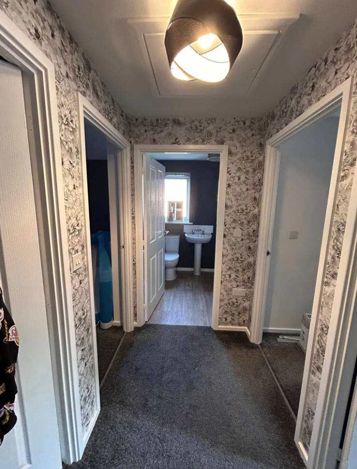 Recent wallpaper specialist project by House Proud